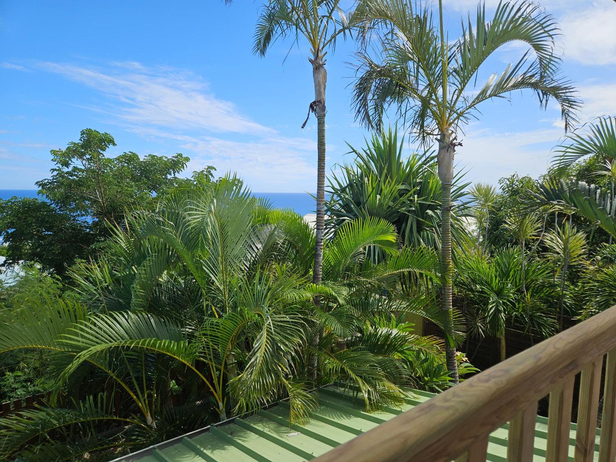 L'Ile En Ylang Apartment Saint-Leu Exterior photo